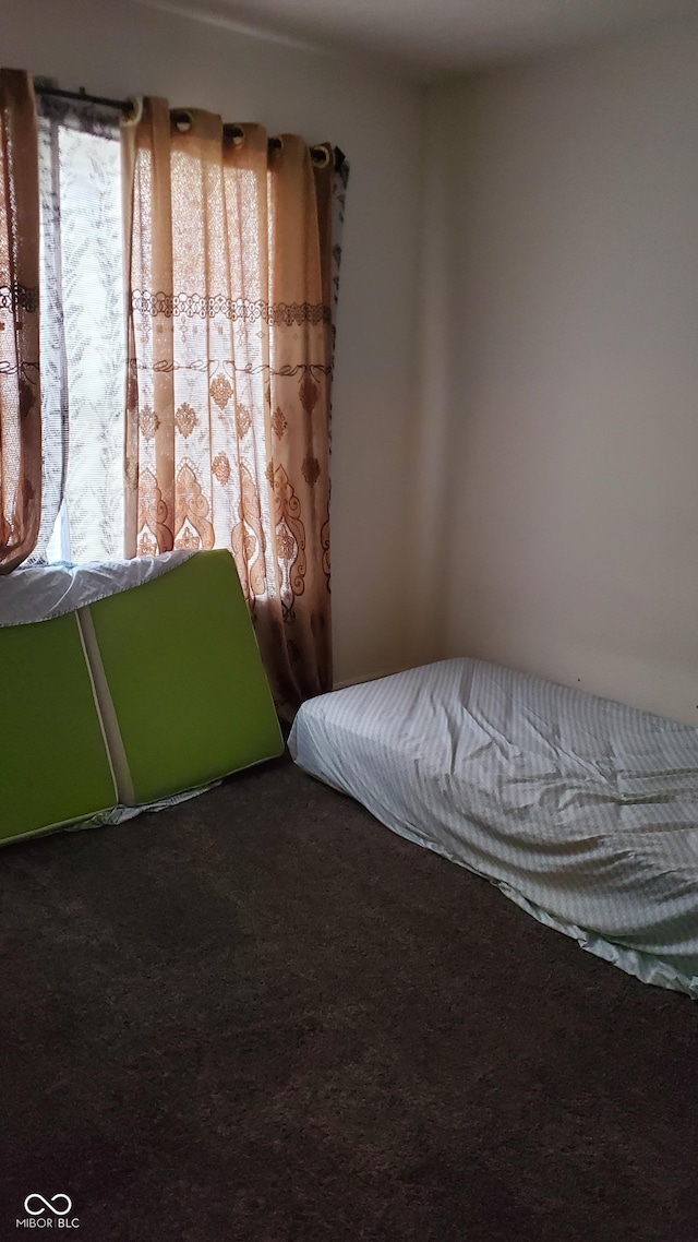6637 Larkwood Ct, Indianapolis, IN 46241 - bedroom with carpet