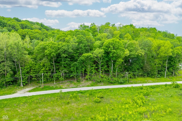 4414 Salt Creek Rd, Nashville, IN 47448 - photo 33