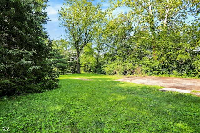 3215 E Edgewood Ave, Indianapolis, IN 46227 - view of grassy yard
