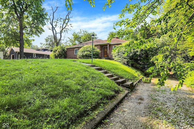 3215 E Edgewood Ave, Indianapolis, IN 46227 - view of yard