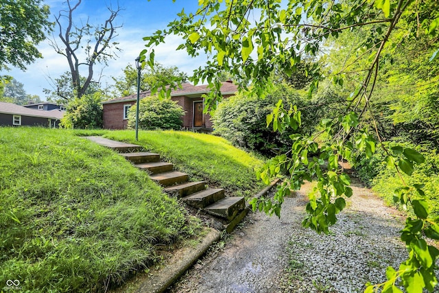 3215 E Edgewood Ave, Indianapolis, IN 46227 - view of yard