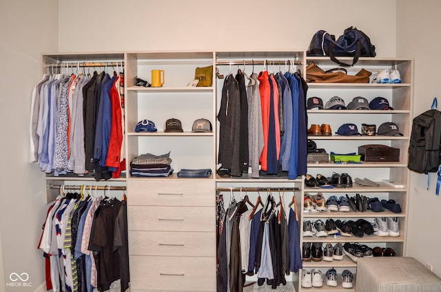 987 Oak Terrace Rd, Westfield, IN 46074 - view of closet