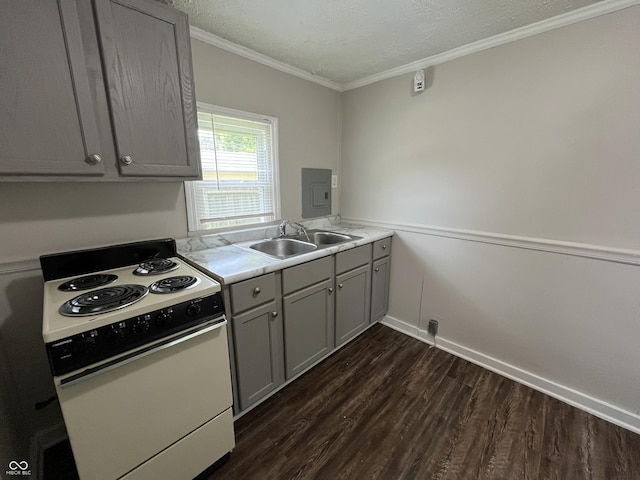 1730 N Graham Ave, Indianapolis, IN 46218 - kitchen featuring electric stove, gray cabinets, dark wood-type flooring, ornamental molding, and light countertops