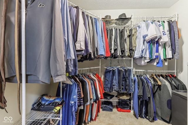 11844 Pine Meadow Cir, Fishers, IN 46037 - view of walk in closet