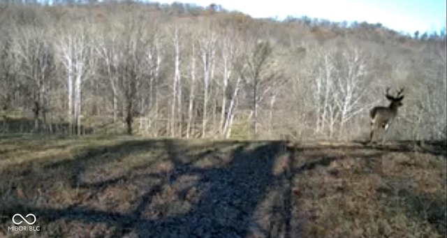 0 Oak Grove Rd, Nashville, IN 47448