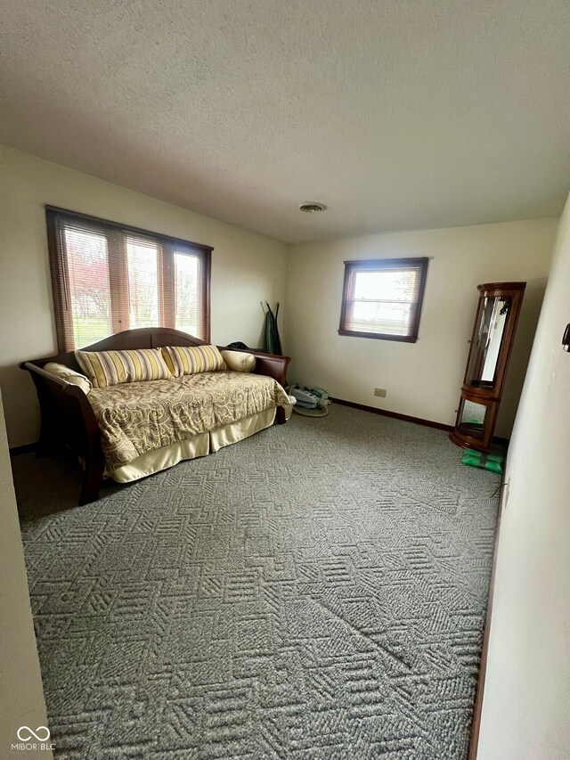 619 W 350 N, Covington, IN 47932 - unfurnished living room with carpet flooring and a textured ceiling