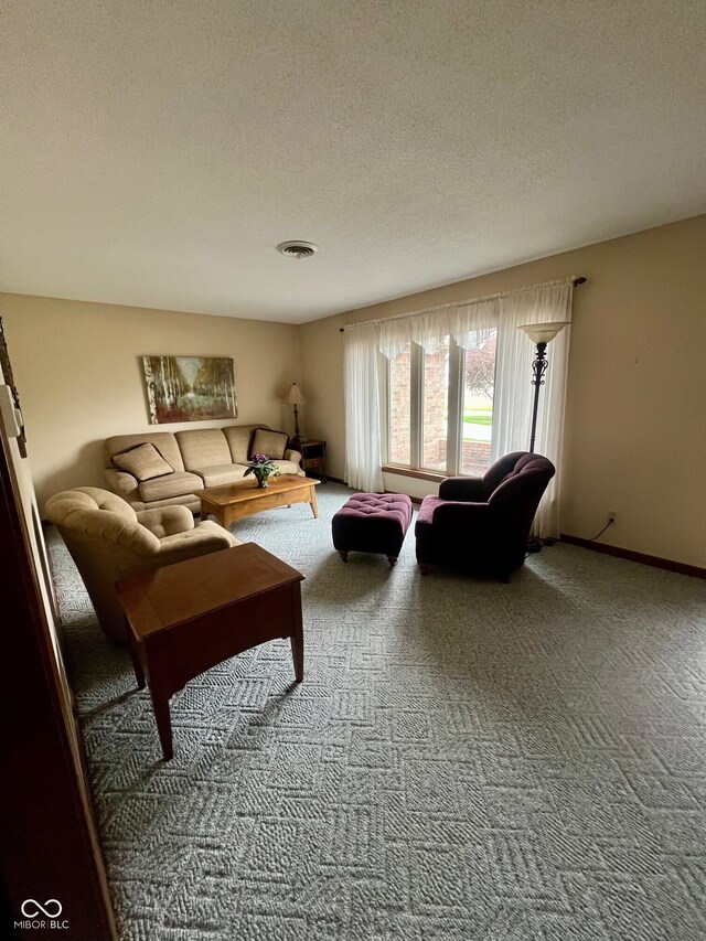 619 W 350 N, Covington, IN 47932 - living area with carpet flooring and a textured ceiling