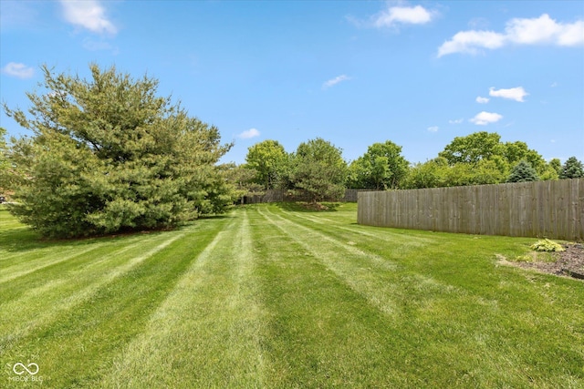 163 Clear Branch Dr, Brownsburg, IN 46112 - view of yard
