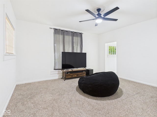 201 N 11th St, Elwood, IN 46036 - living area with carpet, baseboards, and ceiling fan