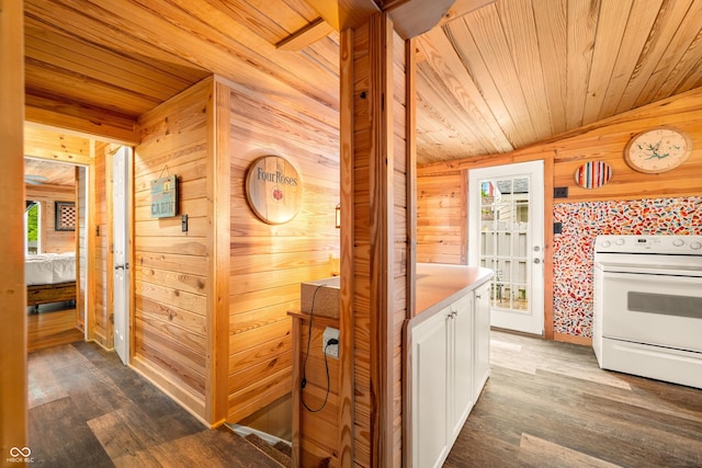 242 W Warford Dr, Princes Lakes, IN 46164 - corridor featuring wooden walls, wood ceiling, and dark wood-style flooring