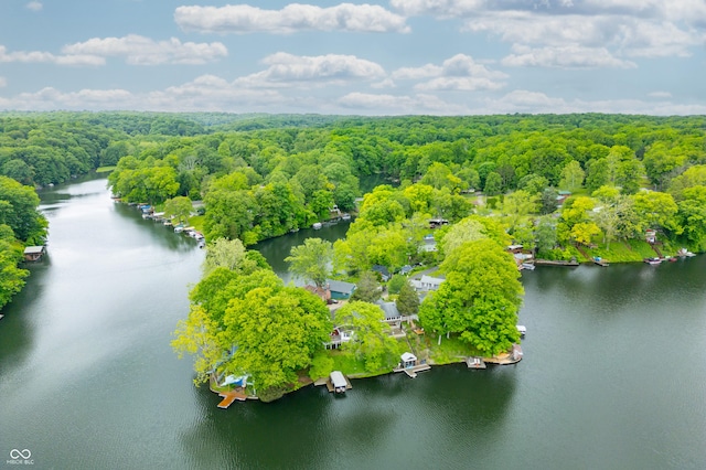 242 W Warford Dr, Princes Lakes, IN 46164 - drone / aerial view of a forest and a large body of water