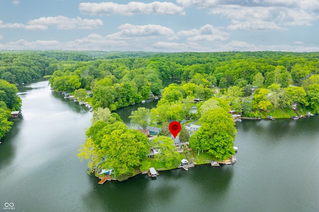 242 W Warford Dr, Princes Lakes, IN 46164 - aerial view of a forest and a large body of water