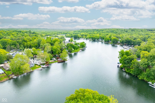 242 W Warford Dr, Princes Lakes, IN 46164 - drone / aerial view of a heavily wooded area and a nearby body of water