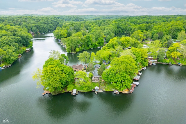 242 W Warford Dr, Princes Lakes, IN 46164 - aerial view of a large body of water and a heavily wooded area