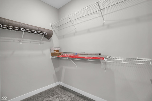 633 Bridgeman Rd, Avon, IN 46123 - walk in closet with dark colored carpet