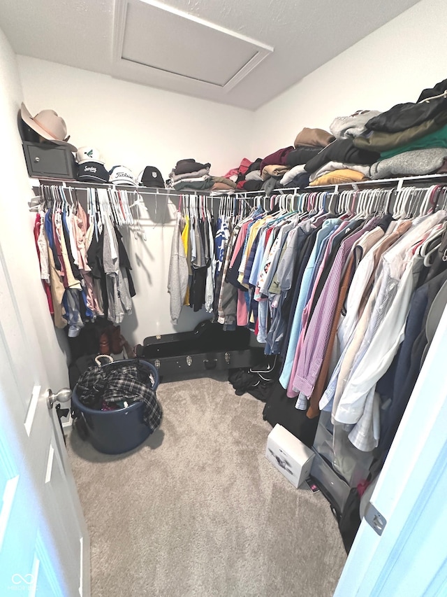 1056 Bent Branch Ln, Greenwood, IN 46143 - walk in closet featuring attic access and carpet floors
