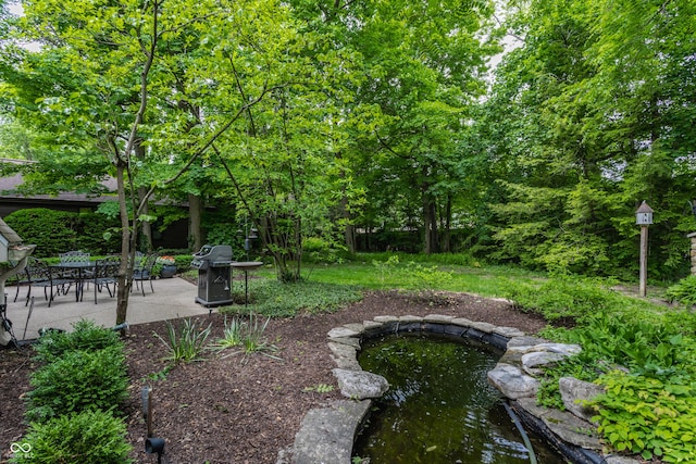 5326 White Marsh Ln, Indianapolis, IN 46226 - view of yard with a patio area
