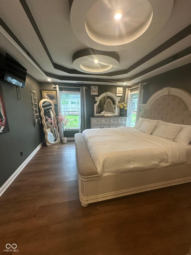 9527 Pepperidge Dr, Indianapolis, IN 46235 - bedroom with a tray ceiling, dark wood-style flooring, and baseboards