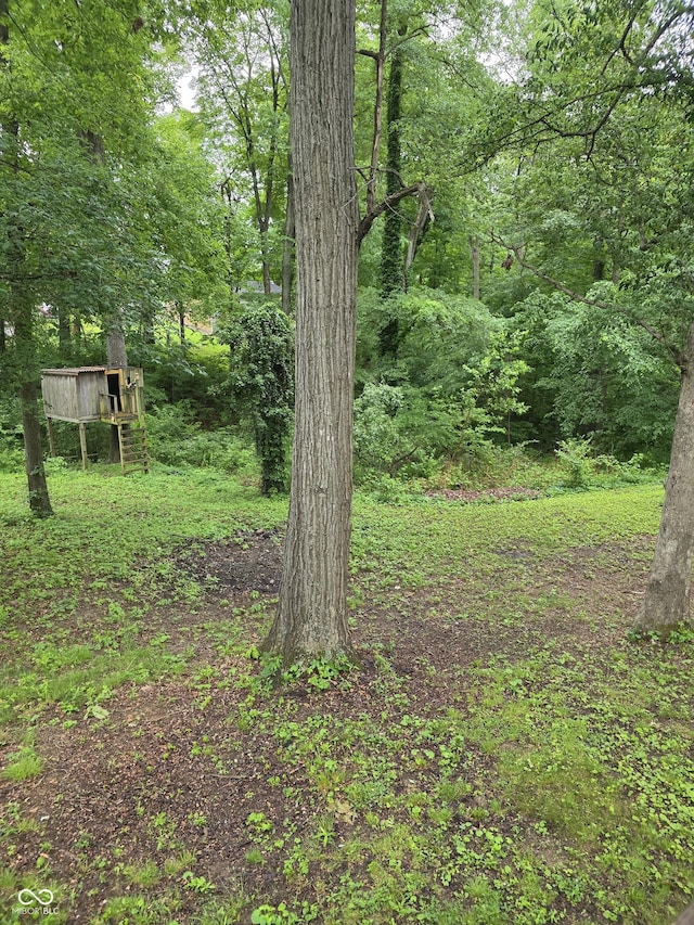 6305 W Hickory Hill Dr, North Vernon, IN 47265 - view of yard featuring a view of trees