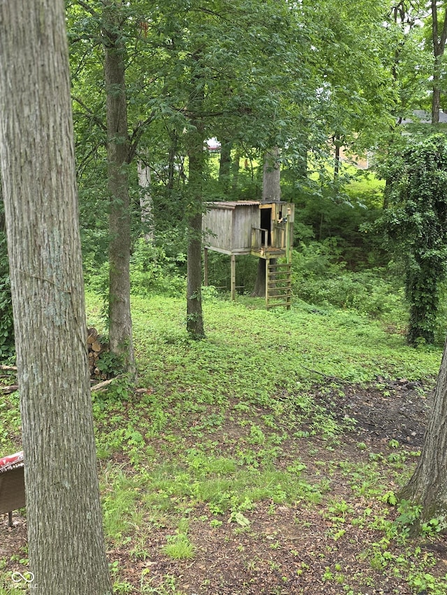 6305 W Hickory Hill Dr, North Vernon, IN 47265 - view of yard