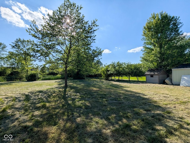 6336 N Carroll Rd, Indianapolis, IN 46235 - view of grassy yard