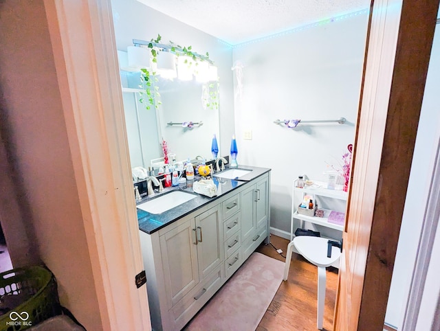 6336 N Carroll Rd, Indianapolis, IN 46235 - bathroom featuring wood finished floors and double vanity