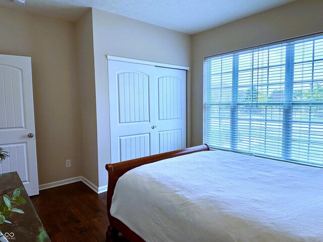11700 Harvest Moon Dr, Noblesville, IN 46060 - bedroom featuring dark wood-type flooring, multiple windows, and a closet
