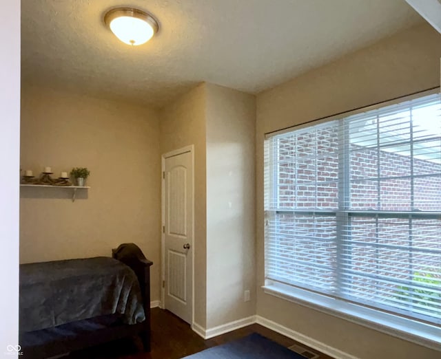 11700 Harvest Moon Dr, Noblesville, IN 46060 - bedroom with multiple windows
