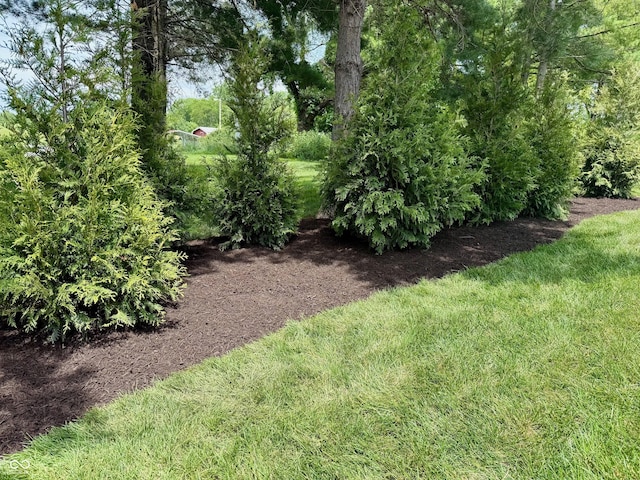 11700 Harvest Moon Dr, Noblesville, IN 46060 - view of yard