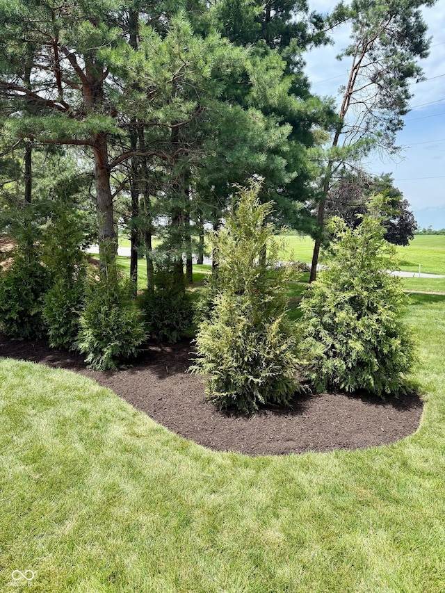 11700 Harvest Moon Dr, Noblesville, IN 46060 - view of green lawn