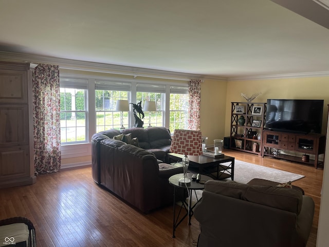 9510 Copley Dr, Indianapolis, IN 46260 - living room featuring plenty of natural light, wood-type flooring, ornamental molding, and baseboards