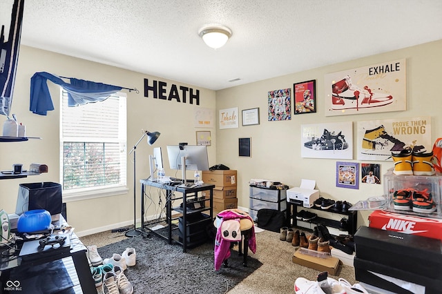 15264 Ten Point Dr, Noblesville, IN 46060 - carpeted office featuring a textured ceiling and baseboards
