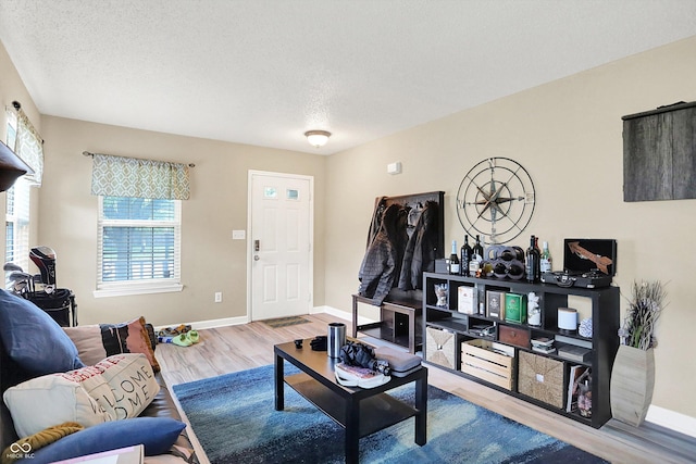 15264 Ten Point Dr, Noblesville, IN 46060 - living room with wood finished floors, a textured ceiling, and baseboards