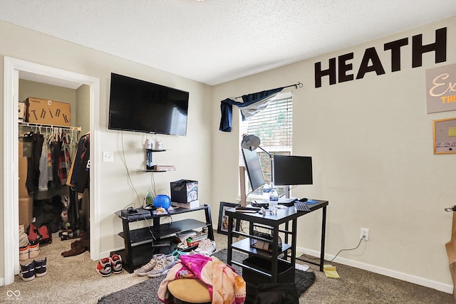 15264 Ten Point Dr, Noblesville, IN 46060 - carpeted home office featuring baseboards and a textured ceiling
