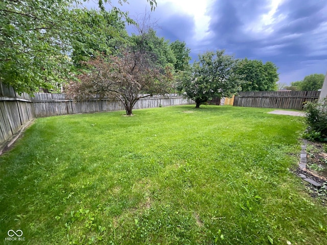356 Seabreeze Cir, Avon, IN 46123 - view of yard