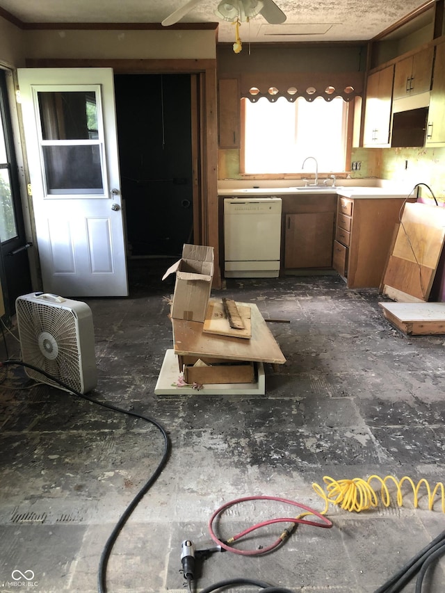 409 Parkway St, Whiteland, IN 46184 - kitchen featuring white dishwasher, plenty of natural light, a sink, and a ceiling fan