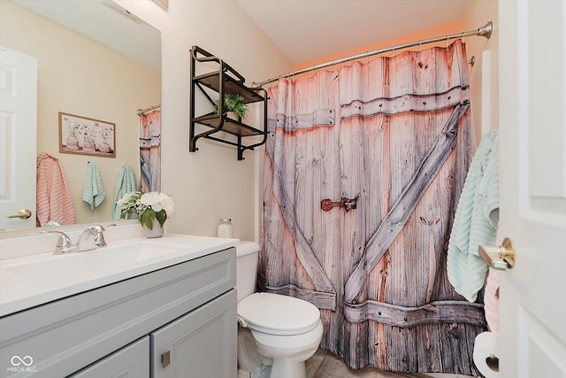 5939 Oberlies Way, Plainfield, IN 46168 - bathroom featuring toilet, vanity, and a shower with curtain