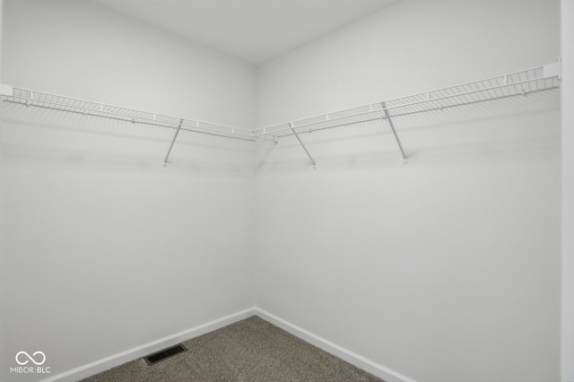 3931 Wren Dr, Brownsburg, IN 46112 - spacious closet with carpet floors