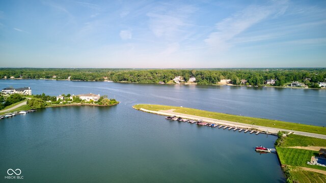 13662 Haven Cove Ln, Fishers, IN 46055 - photo 16