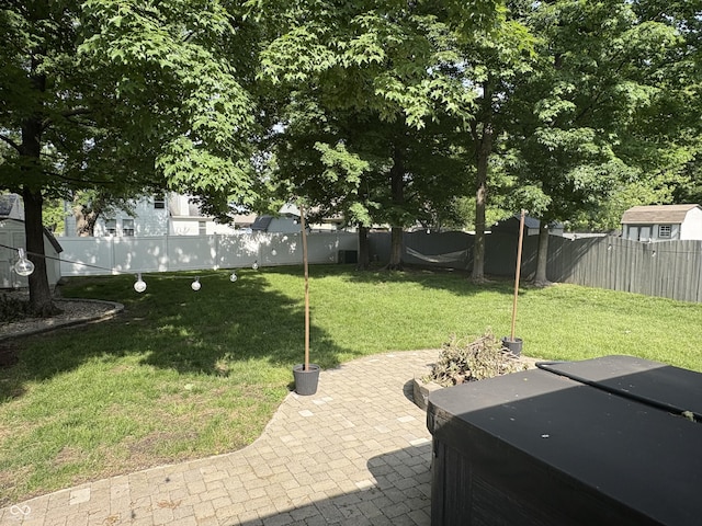 912 Delray Dr, Indianapolis, IN 46241 - view of yard with a patio area and a hot tub