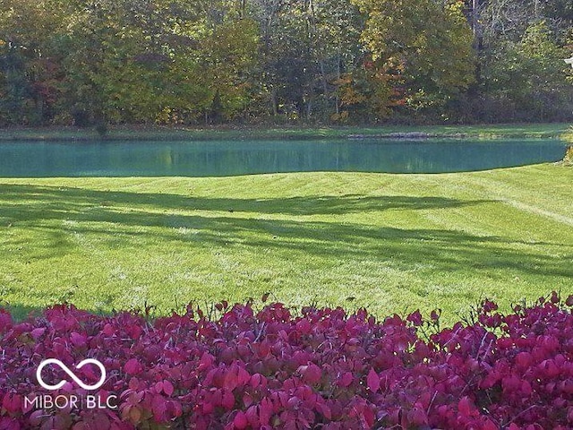 1344 S Fox Paw Dr, New Palestine, IN 46163 - view of green lawn featuring a water view