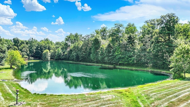 1344 S Fox Paw Dr, New Palestine, IN 46163 - water view featuring a forest