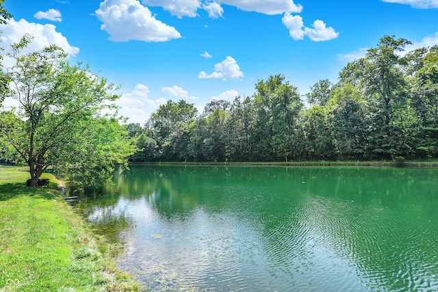 1344 S Fox Paw Dr, New Palestine, IN 46163 - water view with a forest