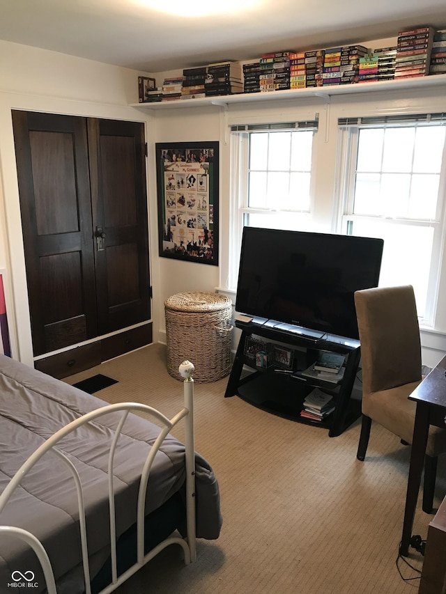 1015 Fairfield Ave, Indianapolis, IN 46205 - bedroom featuring carpet flooring and multiple windows