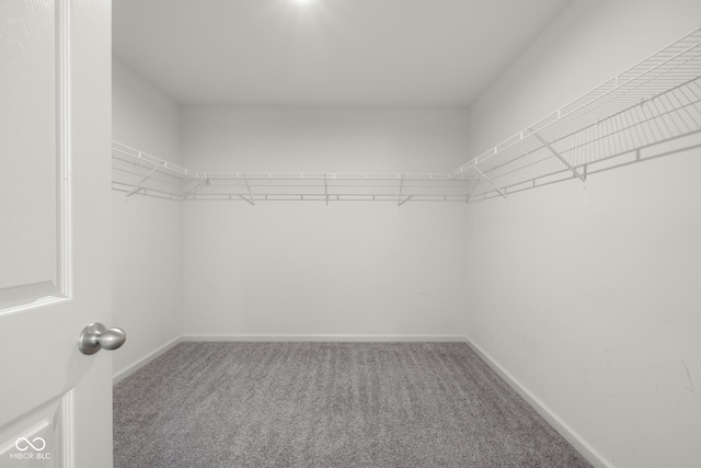 2502 Creekland Dr, Columbus, IN 47201 - spacious closet featuring carpet flooring