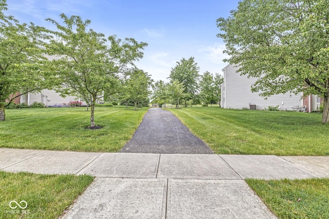 14353 Chariots Whisper Dr, Carmel, IN 46074 - view of green lawn