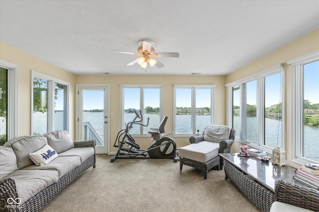 101 Edgewater Dr, Noblesville, IN 46062 - sunroom featuring healthy amount of natural light, a water view, and carpet flooring