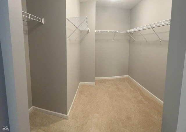 842 Westpointe Dr, Shelbyville, IN 46176 - spacious closet with carpet floors