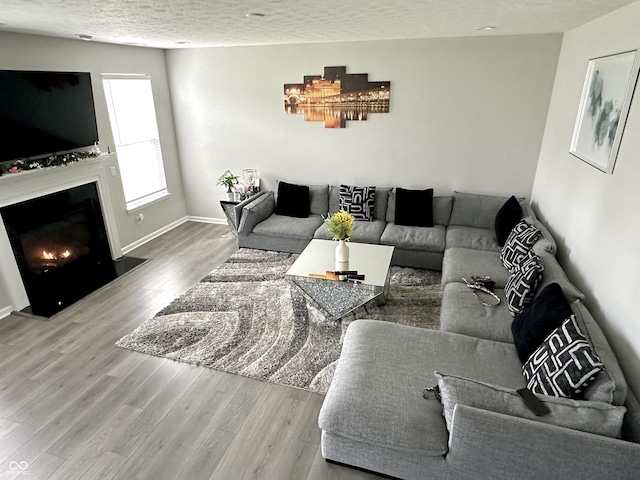 9133 Thames Dr, Avon, IN 46123 - living area featuring wood finished floors, a fireplace with flush hearth, a textured ceiling, and baseboards