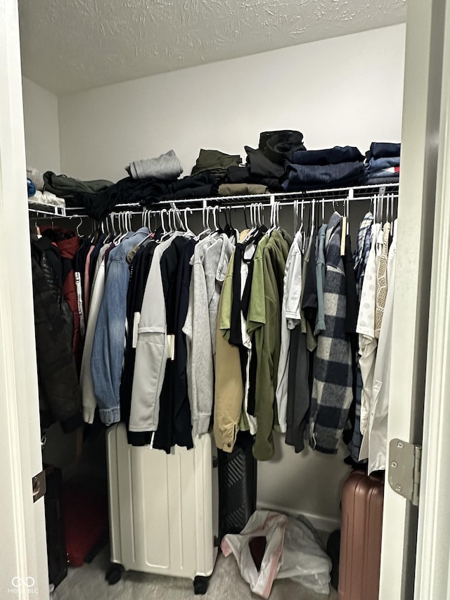 9133 Thames Dr, Avon, IN 46123 - view of spacious closet